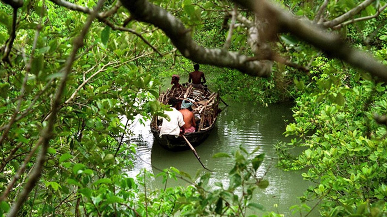 সুন্দরবনে আবারো ট্রলারসহ ১২ জেলে অপহরণ