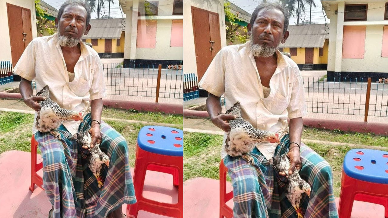 দুই মোরগের পা ভাঙার বিচার চেয়ে থানায় হাজির ভুক্তভোগী