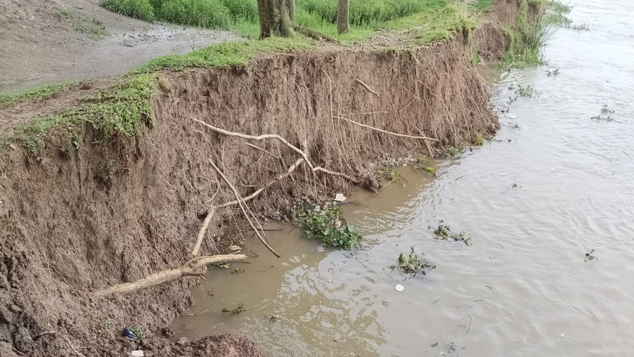 সুরমার ভাঙনে দিশেহারা শান্তিগঞ্জের ৩ গ্রামের মানুষ
