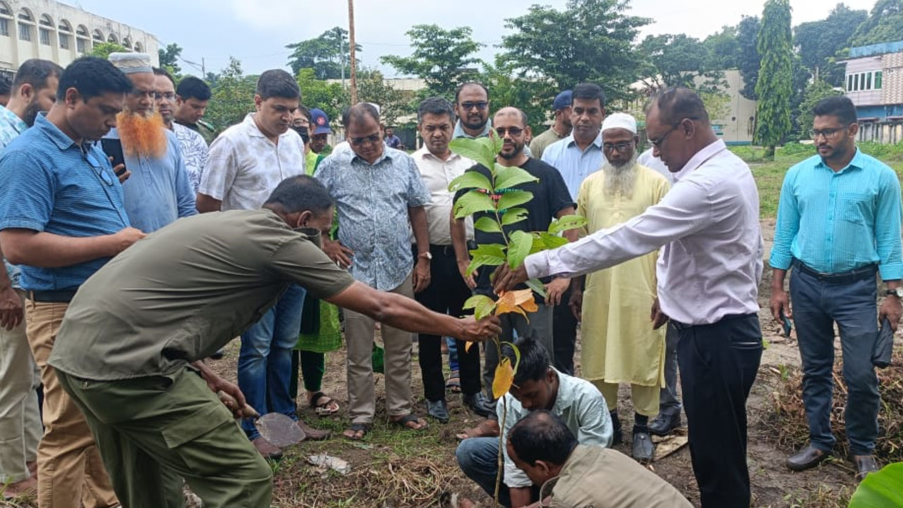 সুনামগঞ্জে ‘এক শহীদ এক বৃক্ষরোপণ’ কর্মসূচি পালন