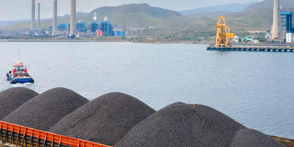 ফিলিস্তিনিদের সংহতিতে বার্লিনে মশাল মিছিল