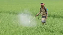 কীটনাশকের অতিব্যবহারে ঝুঁকিতে মাটির উর্বরতা