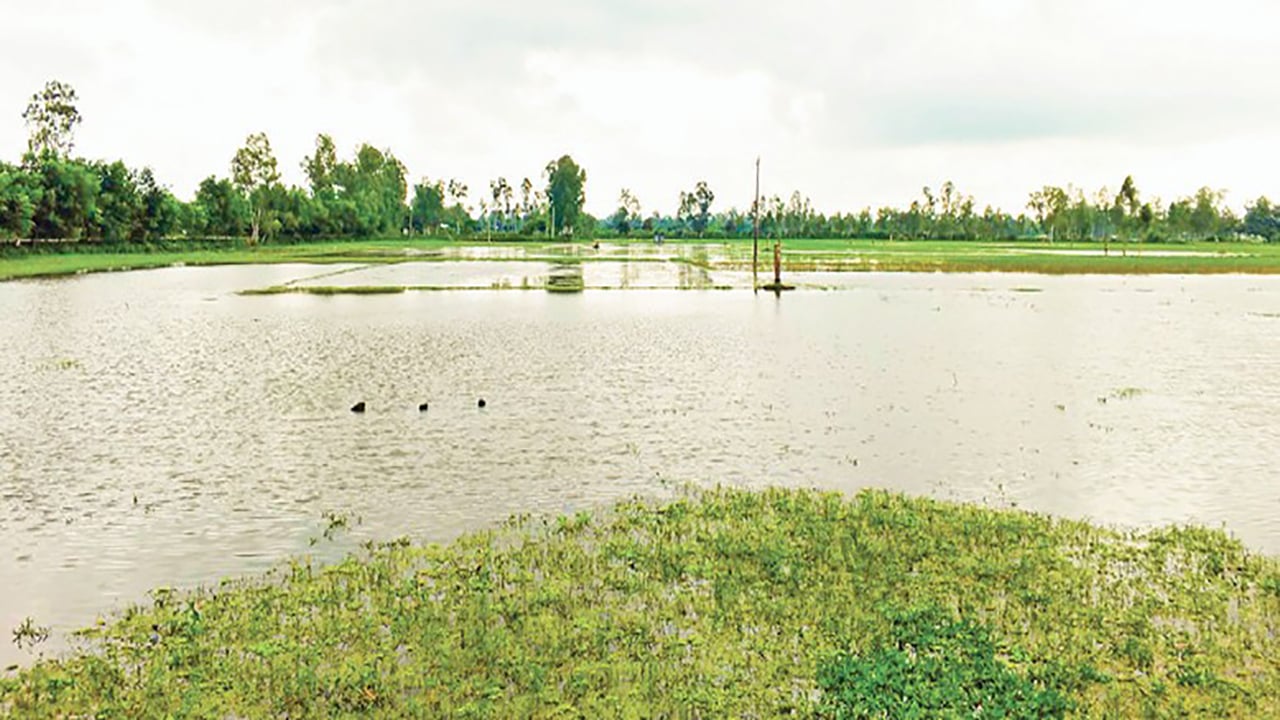 সিরাজগঞ্জের রায়গঞ্জে জলাবদ্ধতায় অনাবাদি ৮৩৩ হেক্টর জমি