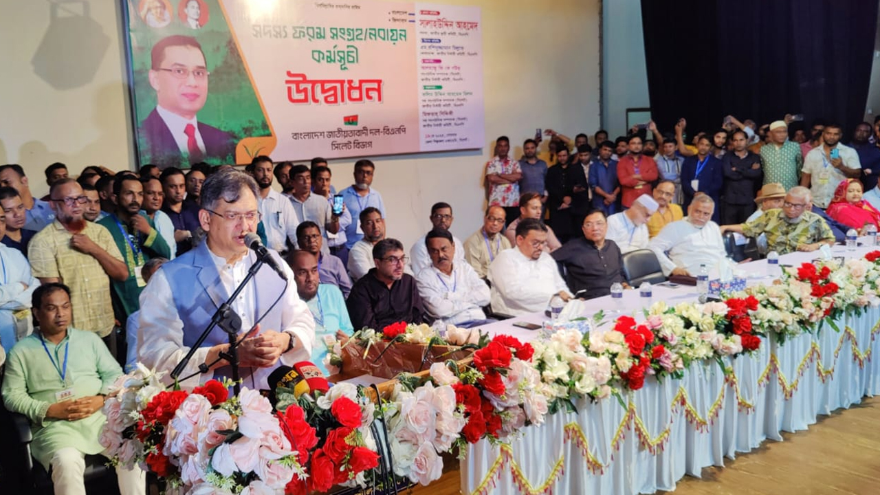 নির্বাচনের কথা বললে অখুশি হয় সরকার: সালাহউদ্দিন আহমেদ