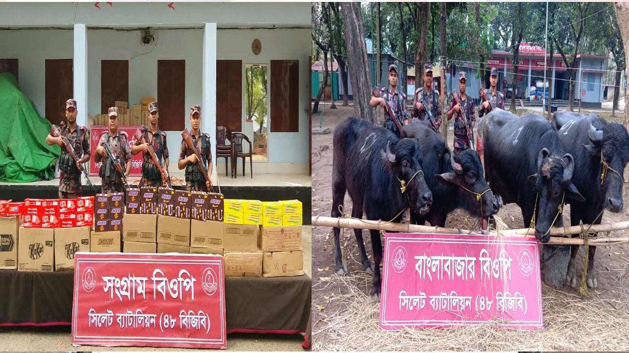 সীমান্তে অভিযান, আড়াই কোটি টাকার ভারতীয় পণ্য জব্দ
