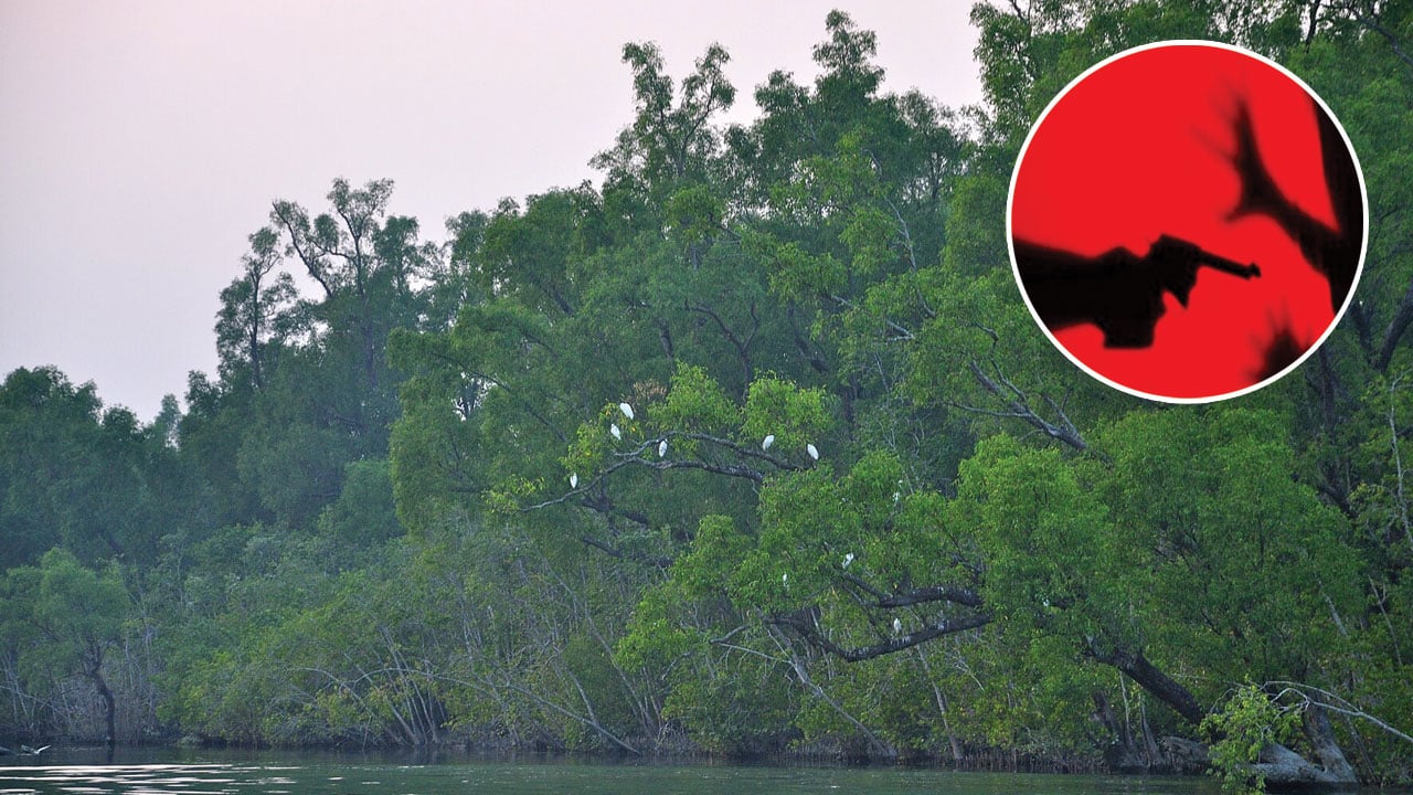 সুন্দরবনে অপারেশনের নাটক সাজিয়ে হত্যা