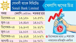দুই মাসে খেলাপি ঋণ বেড়েছে আড়াই হাজার কোটি টাকা 