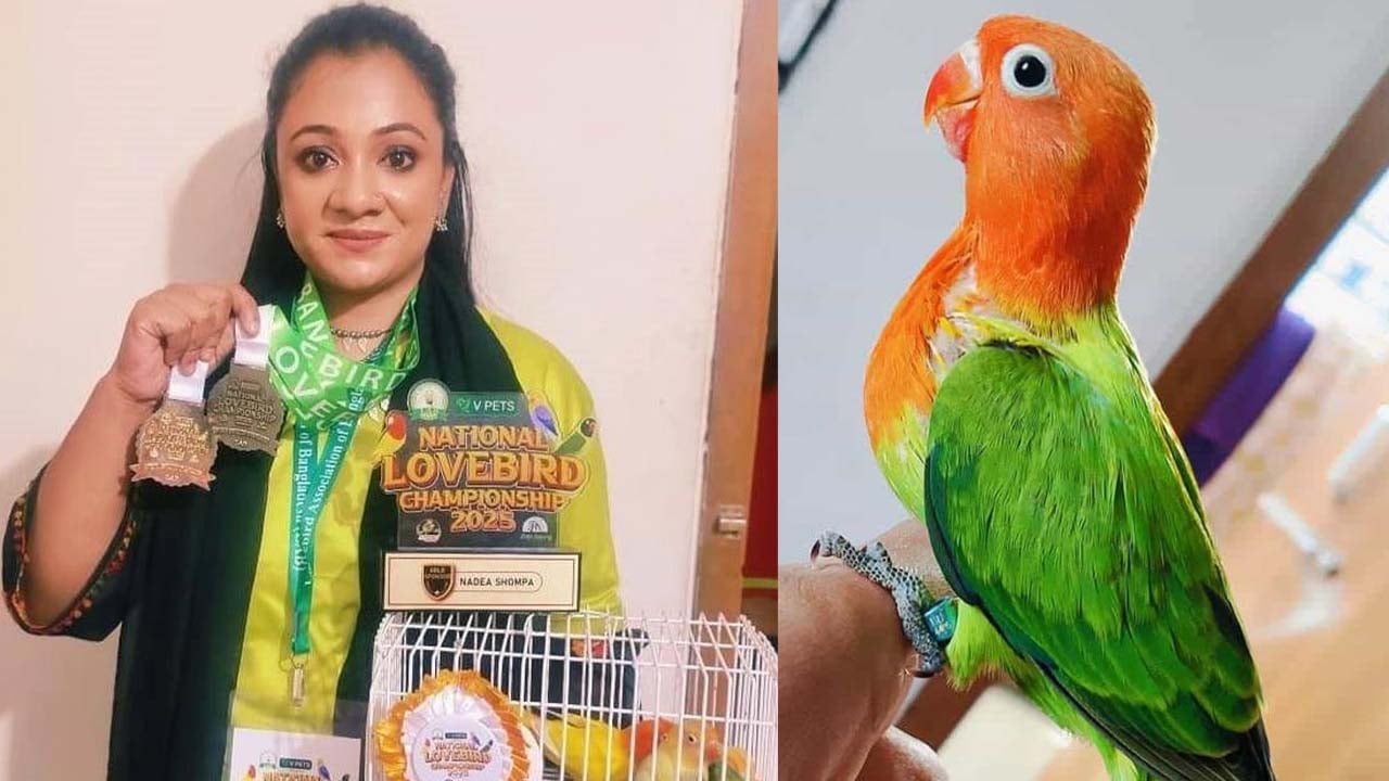 লাভবার্ডে শম্পার স্বপ্ন জয়