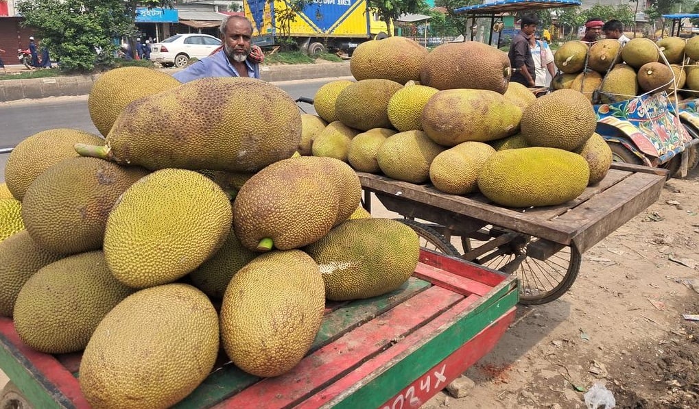 ভরা মৌসুমে কাঁঠালের জমজমাট বেচাকেনা