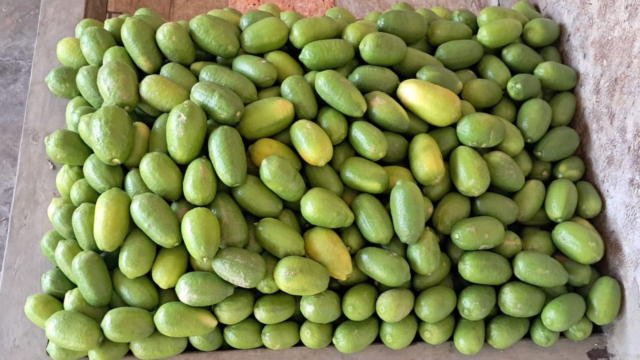 শ্রীমঙ্গলে প্রতি হালি লেবু ২০০ টাকা