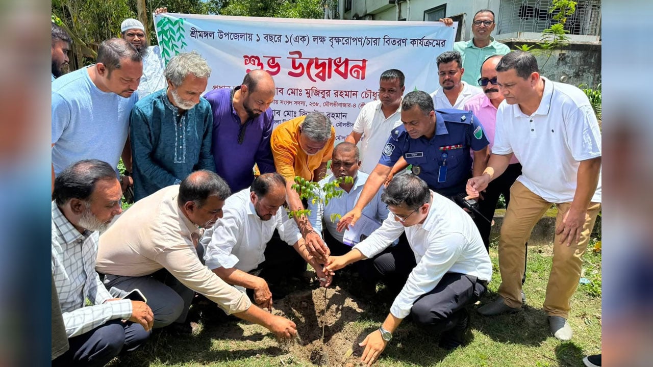 শ্রীমঙ্গলে বছরে ১ লাখ বৃক্ষরোপণ কর্মসূচি উদ্বোধন