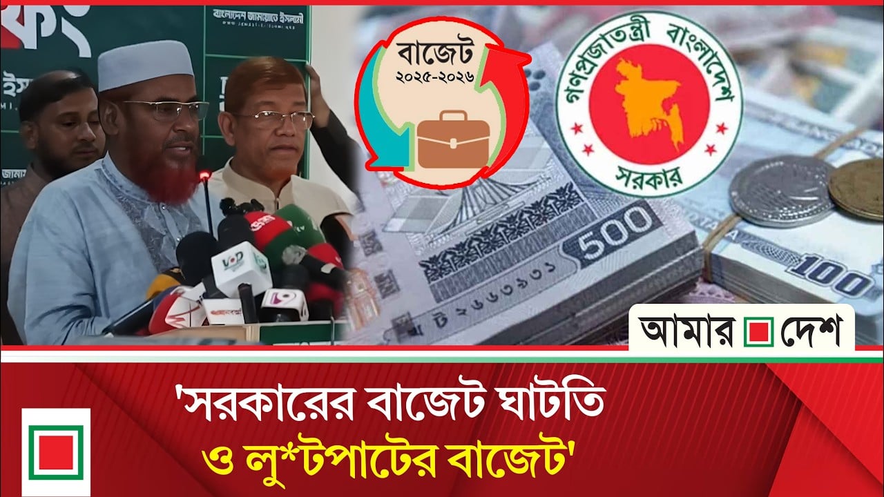 'সরকারের বাজেট থেকে জামায়াতের ছায়া বাজেট সবচেয়ে উপযোগী ও সংস্কারপন্থী'