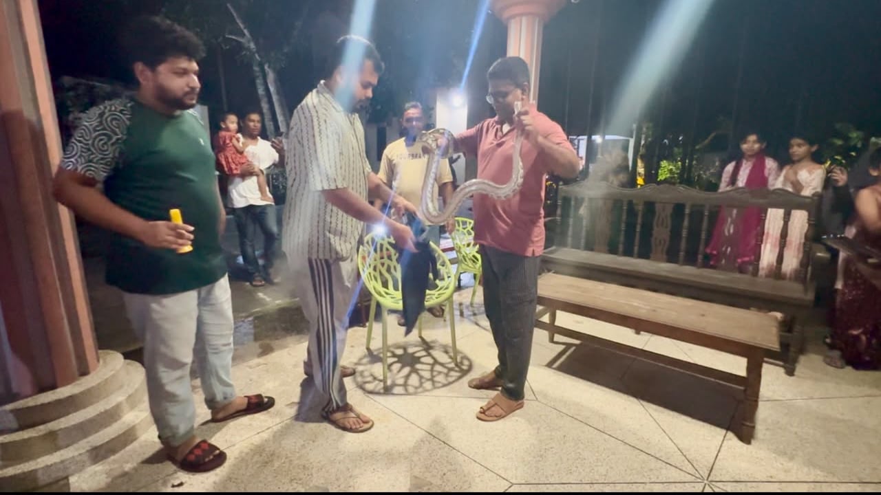 শ্রীমঙ্গলে বাড়ি থেকে অজগর উদ্ধার, লাউয়াছড়ায় অবমুক্ত