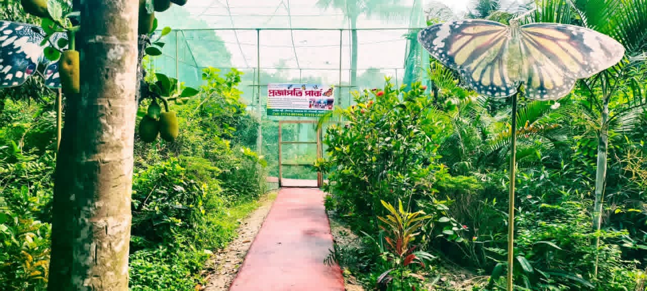 সরিষাবাড়ীতে জীববৈচিত্র্য রক্ষায় প্রজাপতি পার্ক