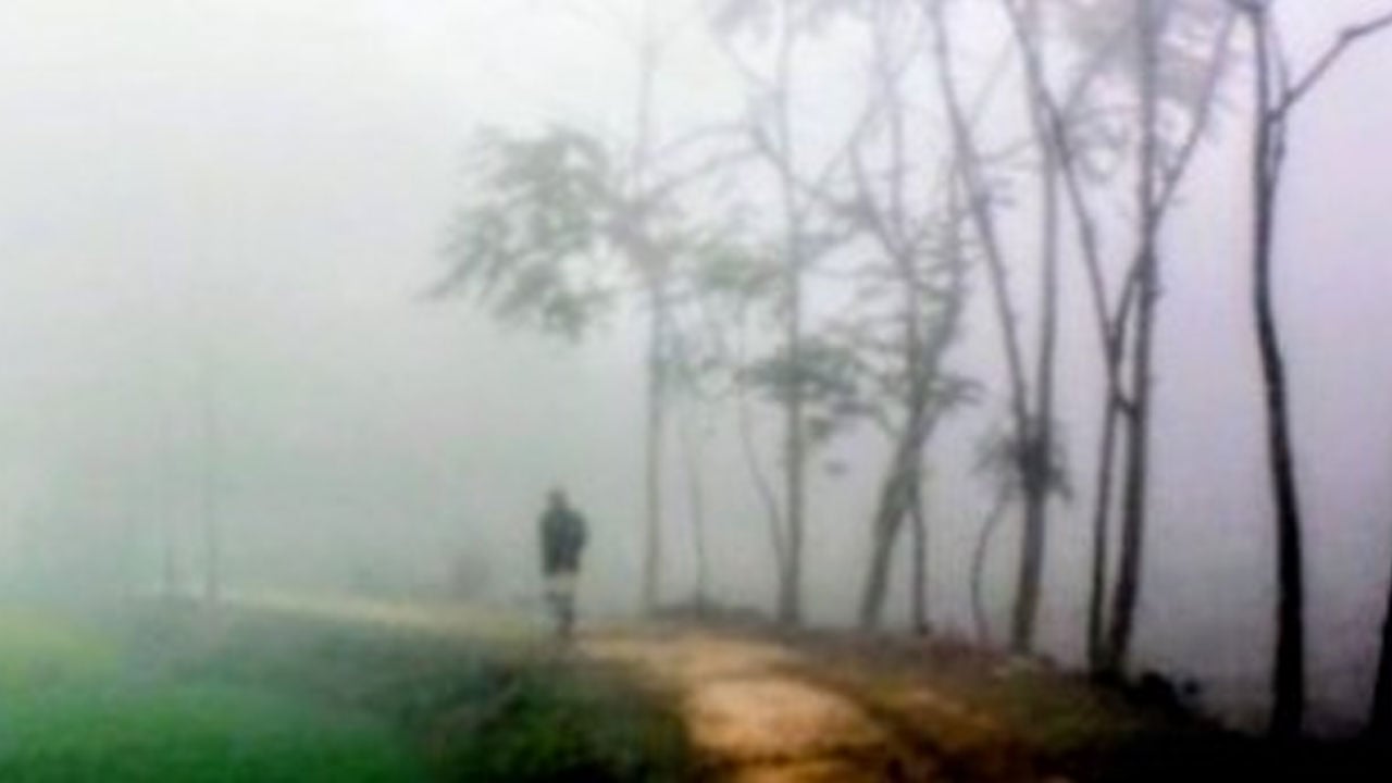 নবাবগঞ্জে বাড়ছে শীত, তাপমাত্রা নামল ১১.৮ ডিগ্রিতে