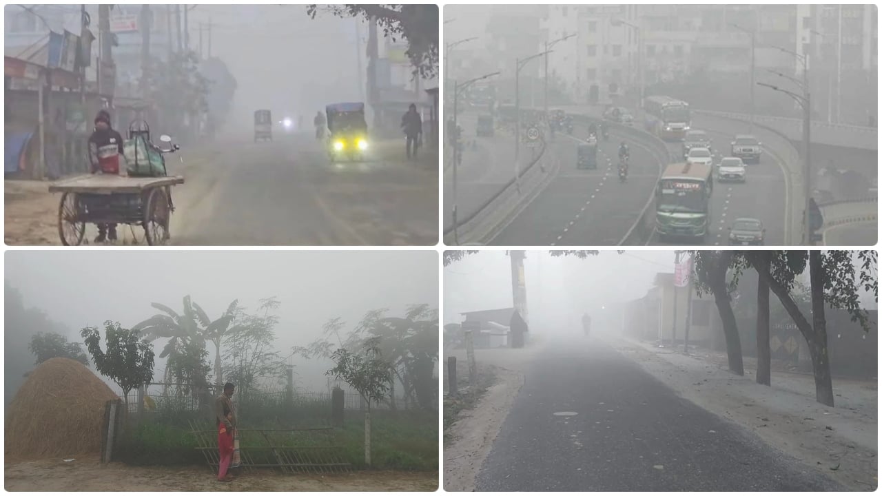 শীতে কাঁপছে দেশ, যেসব জেলায় বইছে মৃদু শৈত্যপ্রবাহ