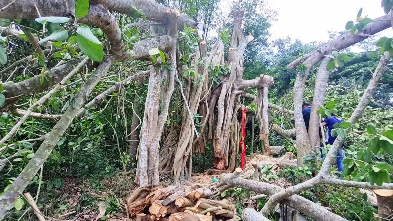 জড়িতদের ধরতে আইনগত পদক্ষেপের আশ্বাস প্রশাসনের