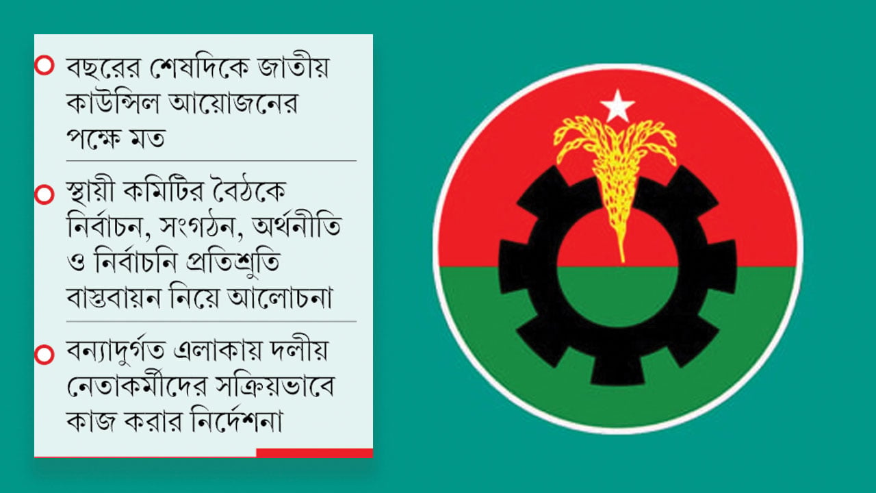 স্থানীয় নির্বাচনকে চ্যালেঞ্জ হিসেবে দেখছে বিএনপি
