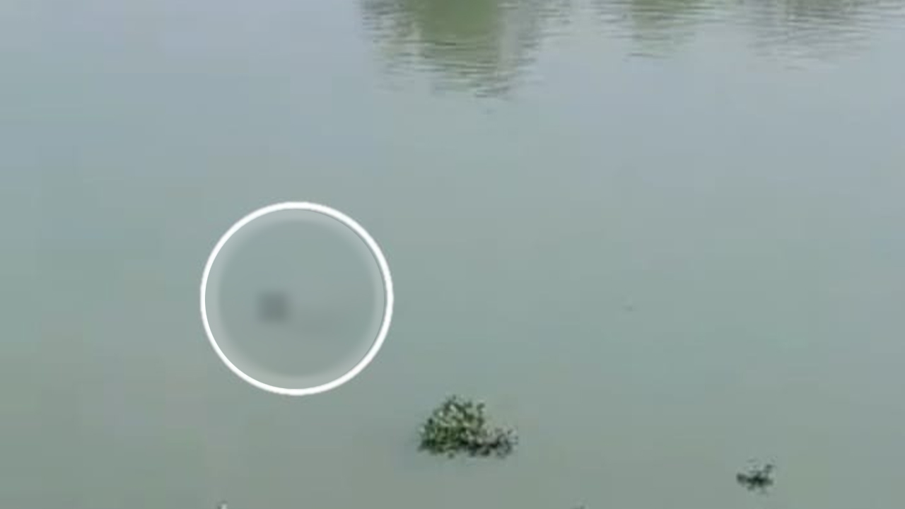 নিখোঁজের ৩ দিন পর নদীতে ভেসে উঠল বৃদ্ধের লাশ