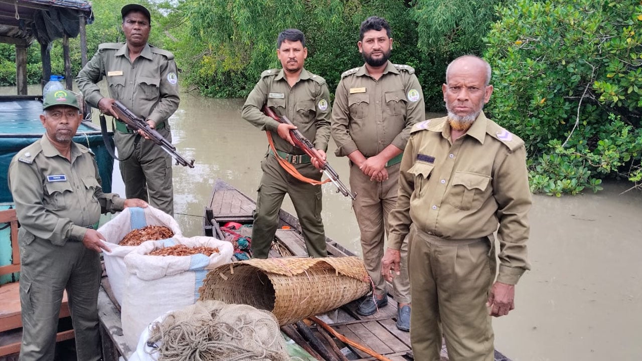 সুন্দরবনে বনরক্ষীদের অভিযানে শুঁটকি মাছা ধ্বংস