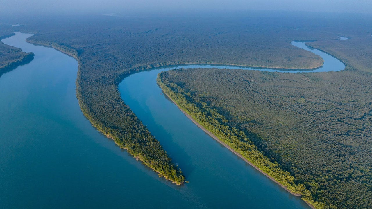 sunderban