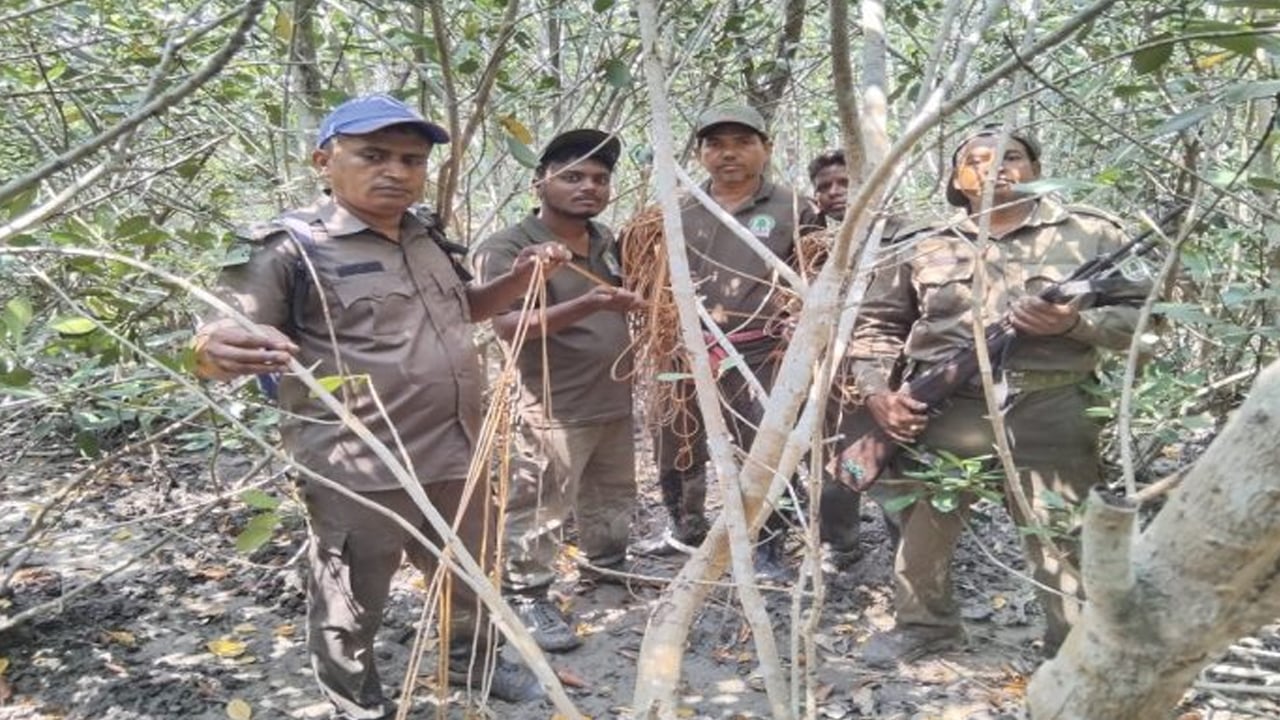 ঈদের ছুটিতেও সতর্ক সুন্দরবনের বনরক্ষীরা