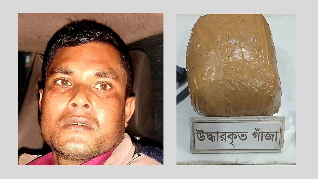 ভেড়ামারায় বাস থেকে মাদক জব্দ, কারবারি আটক