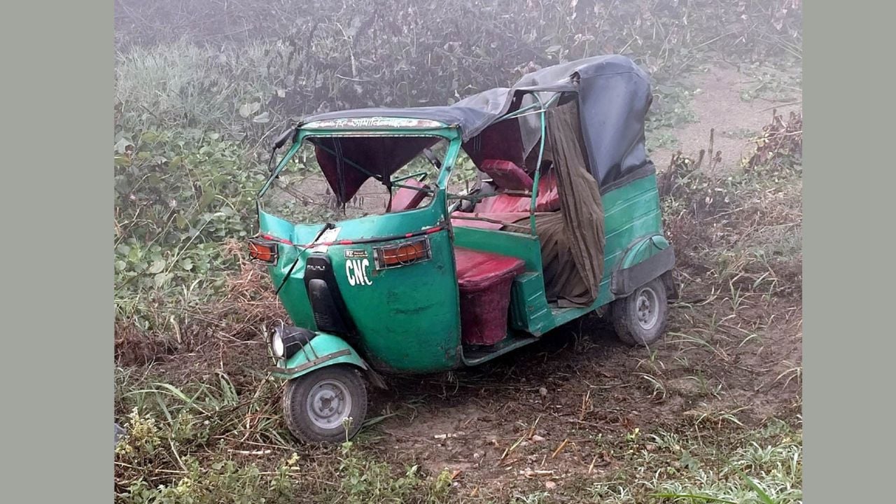 শেরপুরে ট্রাকচাপায় মাছ ব্যবসায়ী নিহত, আহত ১