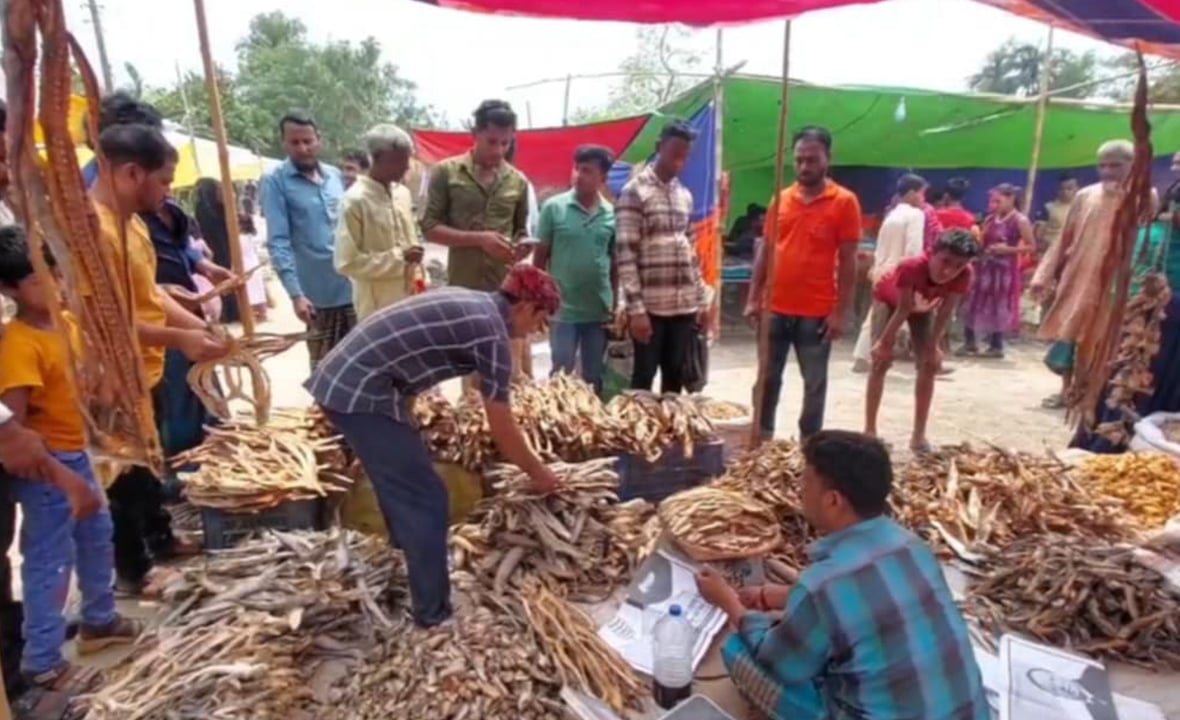 ব্রাহ্মণবাড়িয়ায় তিনশত বছরের ঐতিহ্যবাহী শুঁটকি মেলা