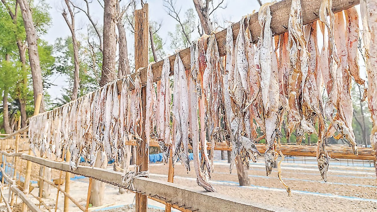 নানা সমস্যায় ধুঁকছে বরগুনার শুঁটকিপল্লী