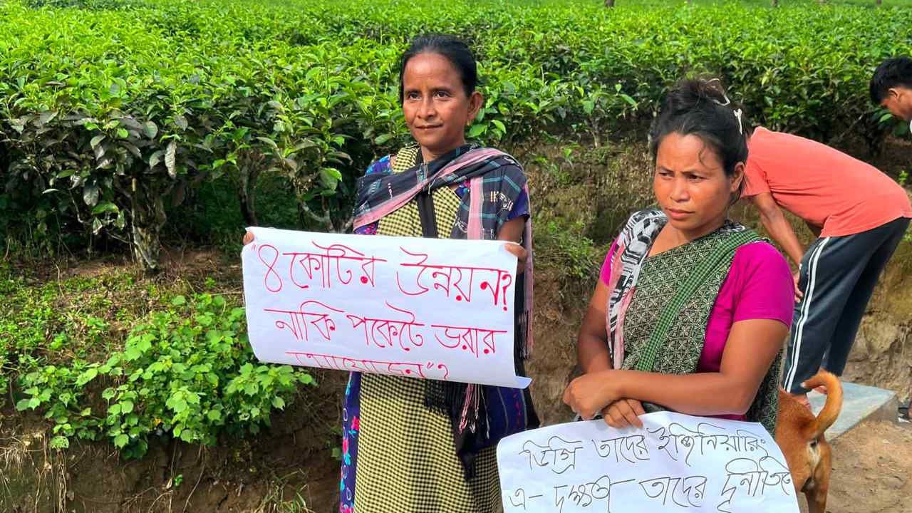 ৪ কোটি টাকার সড়ক নির্মাণে অনিয়ম, ইউএনওর নির্দেশে ফের শুরু হলো কাজ