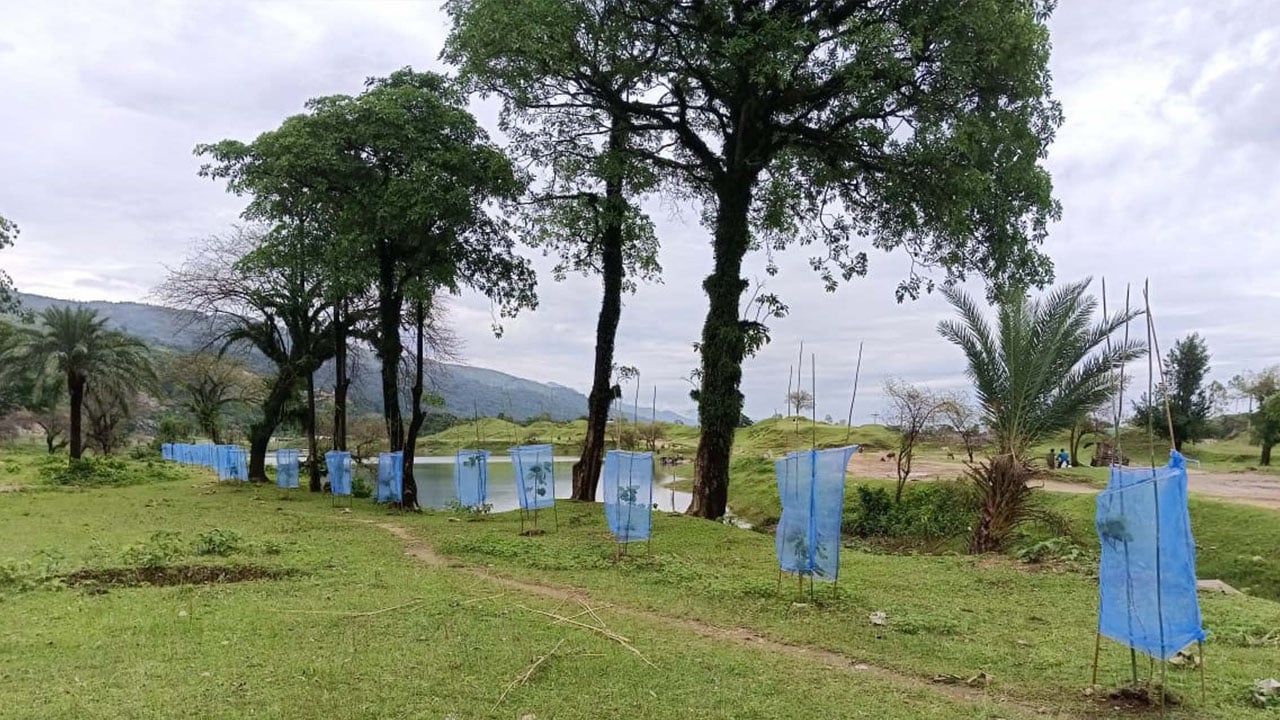 পাথর কোয়ারী থেকে কখনো ‘নীলাদ্রি, কখনো ‘বাংলার কাশ্মীর’