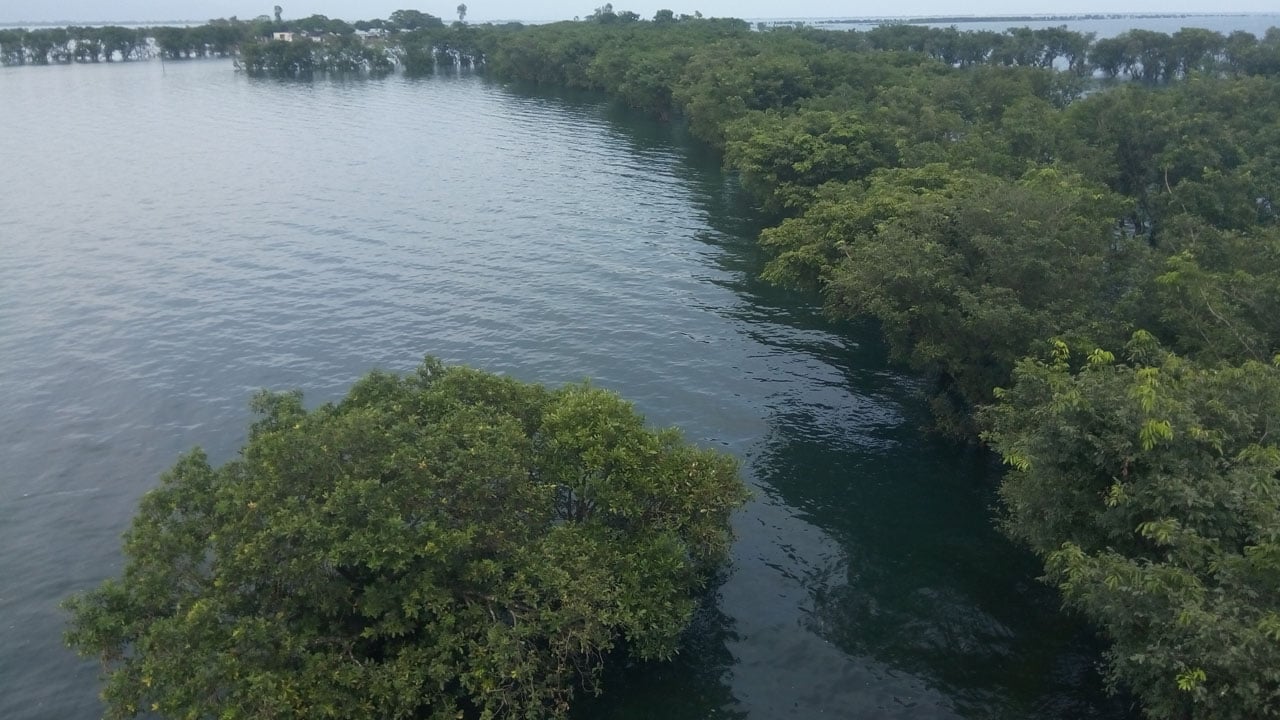 টাঙ্গুয়ার হাওরে গান বাজনায় নিষেধাজ্ঞা