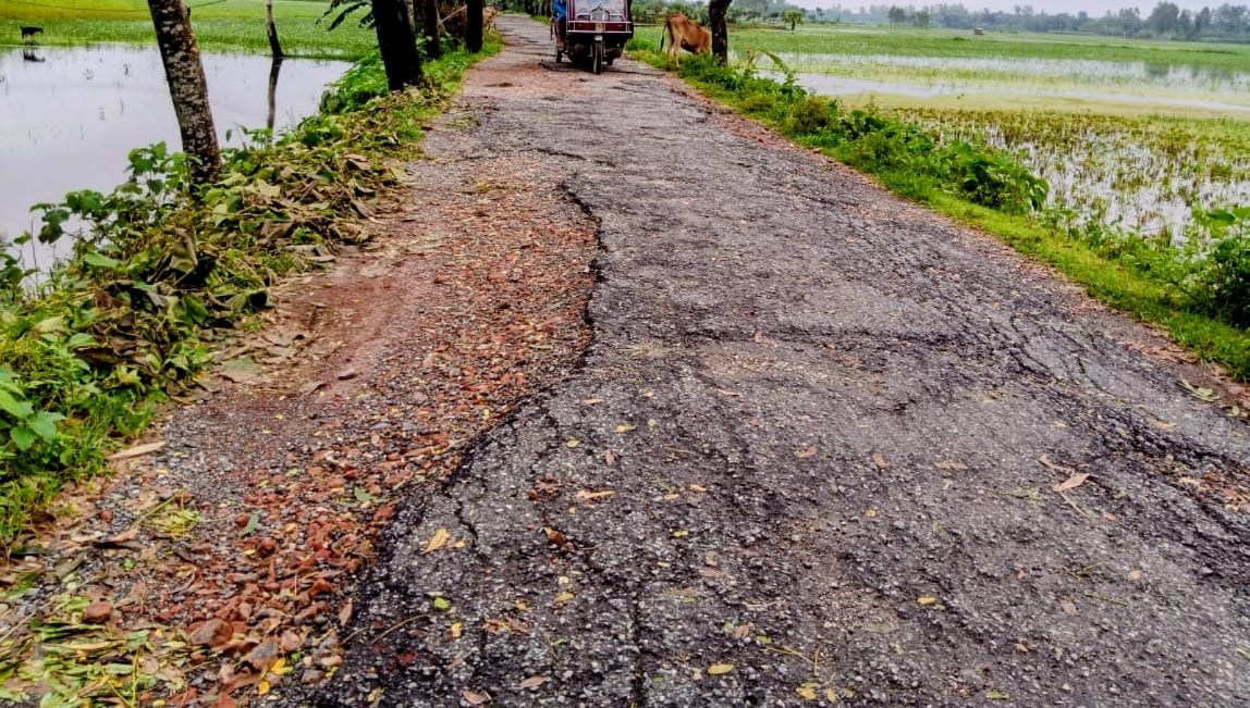 তারাগঞ্জ-বুড়িরহাট সড়কের করুণ দশা