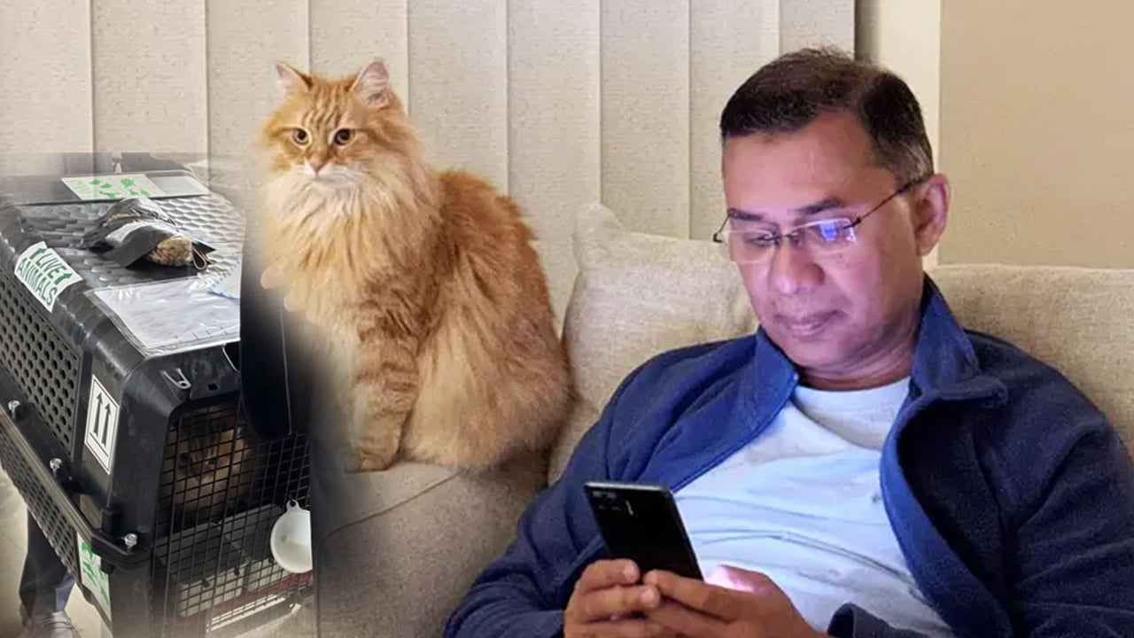 তারেক রহমানের সঙ্গে বাংলাদেশে এলো জেবুও