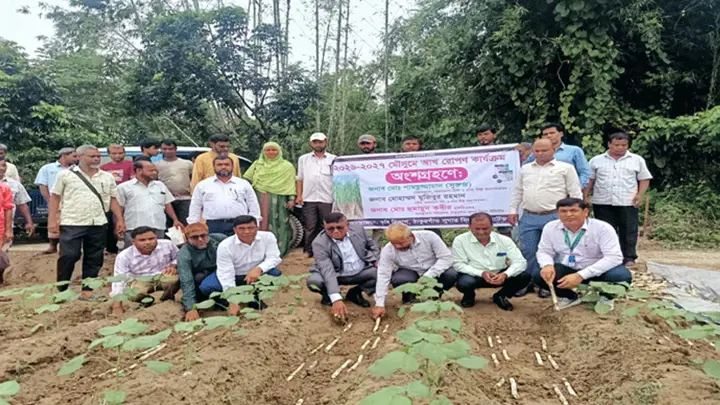 প্রধানমন্ত্রীর নির্দেশনায় ঠাকুরগাঁওয়ে আখ রোপন
