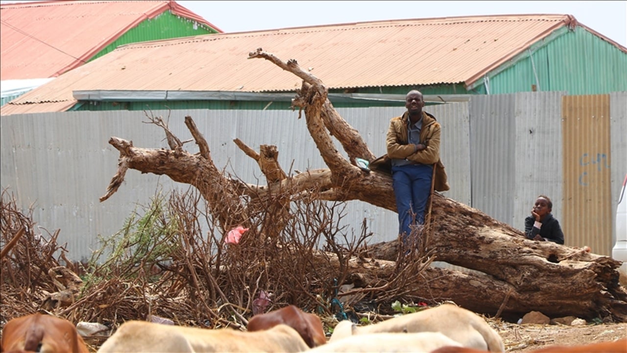 সোমালিল্যান্ডকে ইসরাইলের স্বীকৃতি, ২১ দেশের নিন্দা