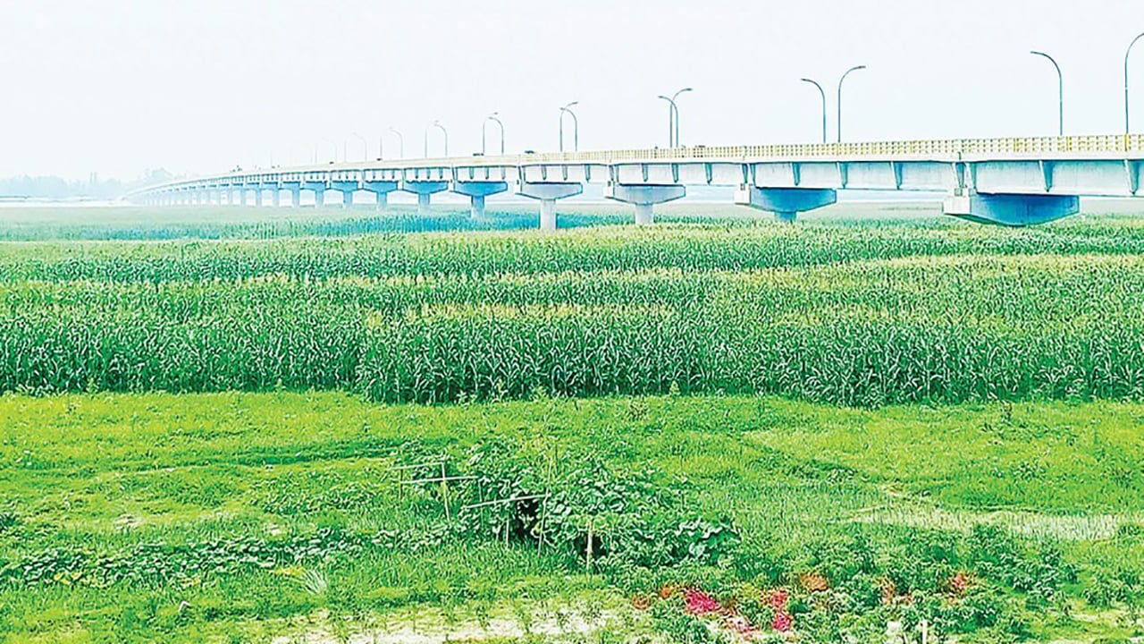 চিলমারীর ভাসানী সেতু ভাগ্য খুলে দিয়েছে কৃষকের