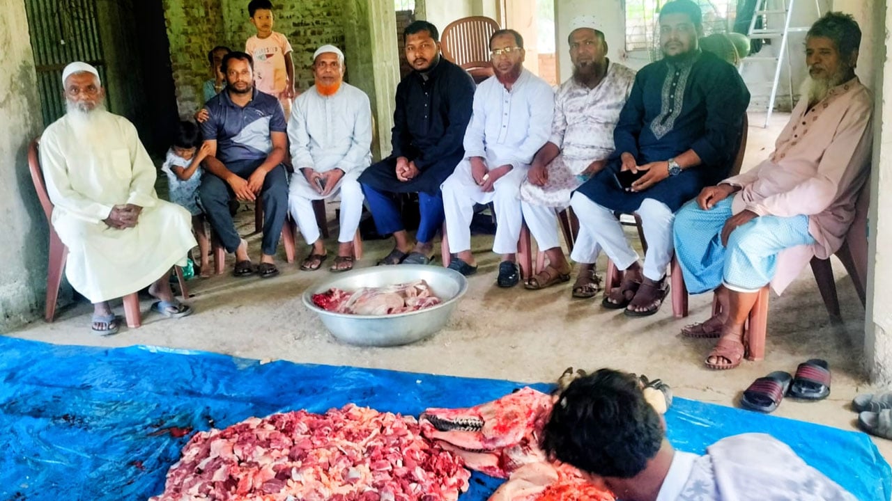 তিতাসে জামায়াতের ১২ গরু কোরবানি