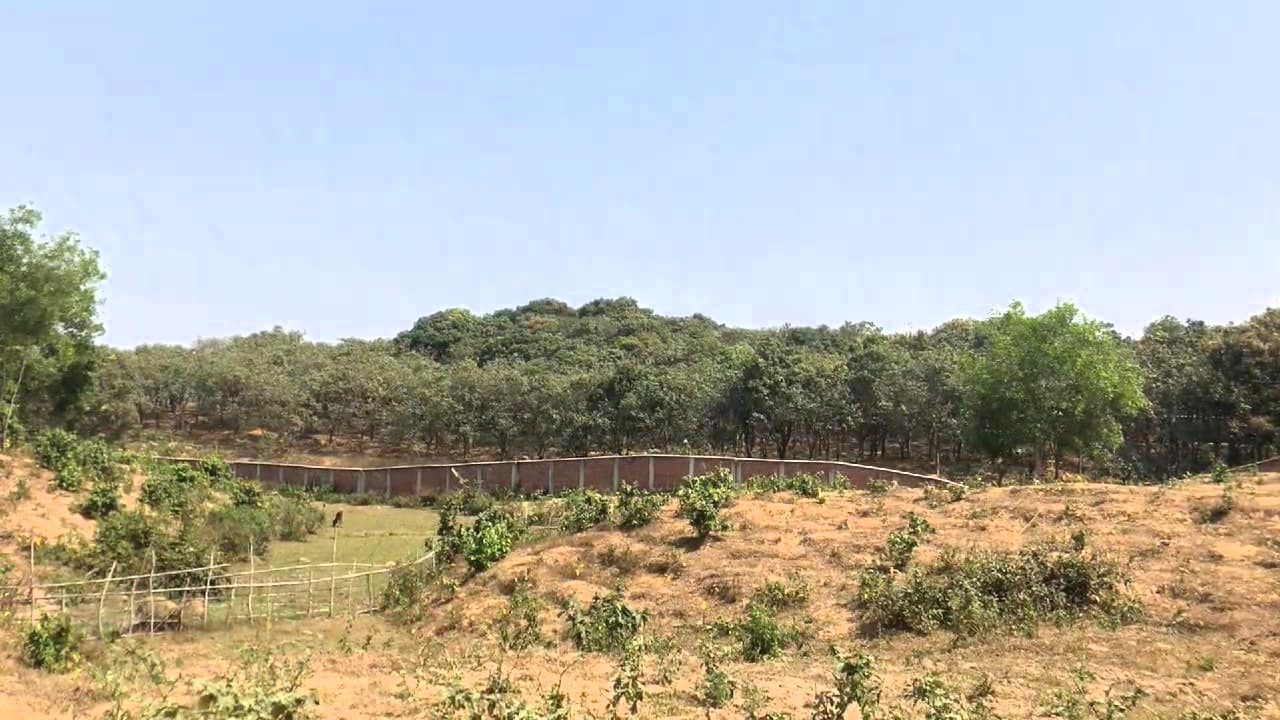 মুক্তিপণে ফেরত টেকনাফে অপহৃত সেই ৫ কাঠুরিয়া