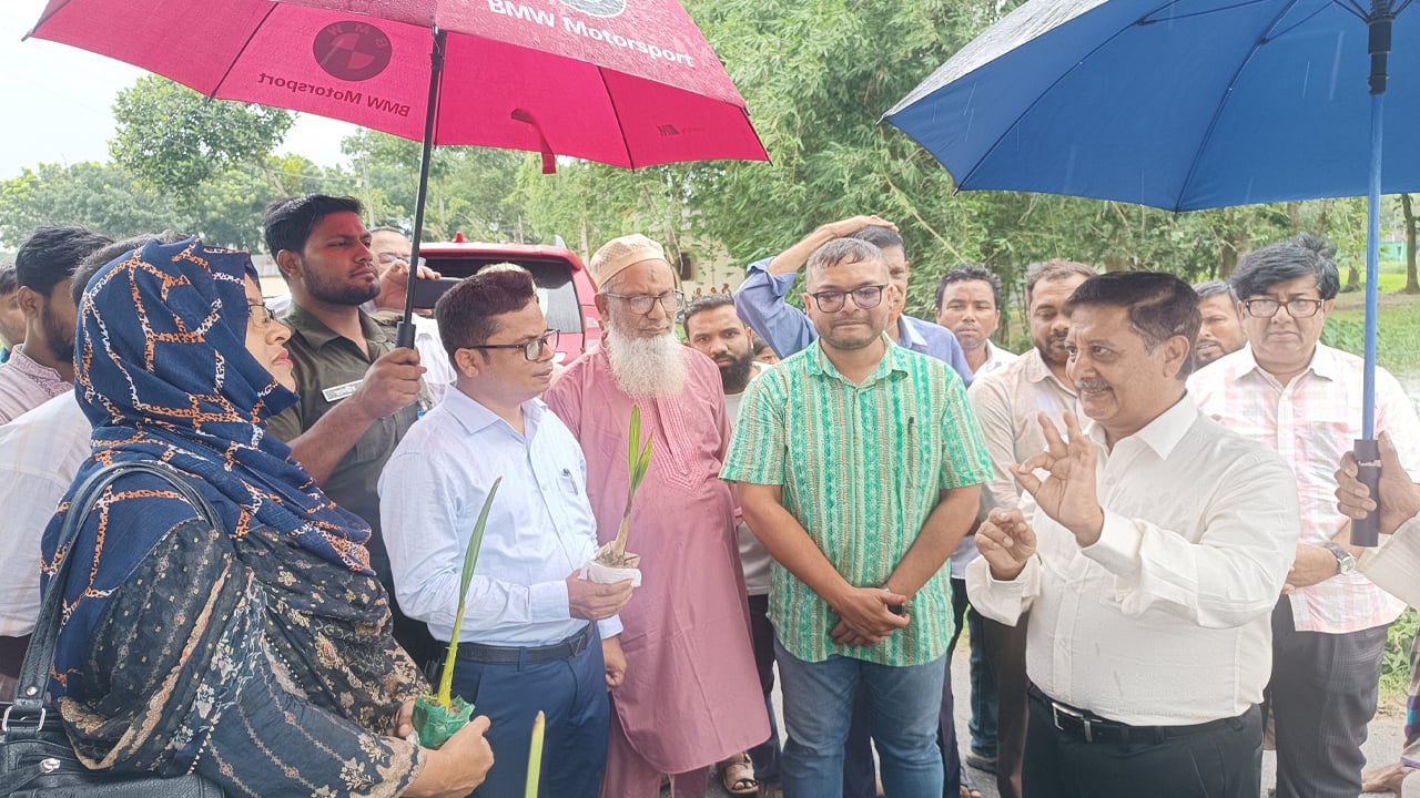পরিবেশের ভারসাম্য রক্ষায় মেলান্দহে তালের চারা বিতরণ