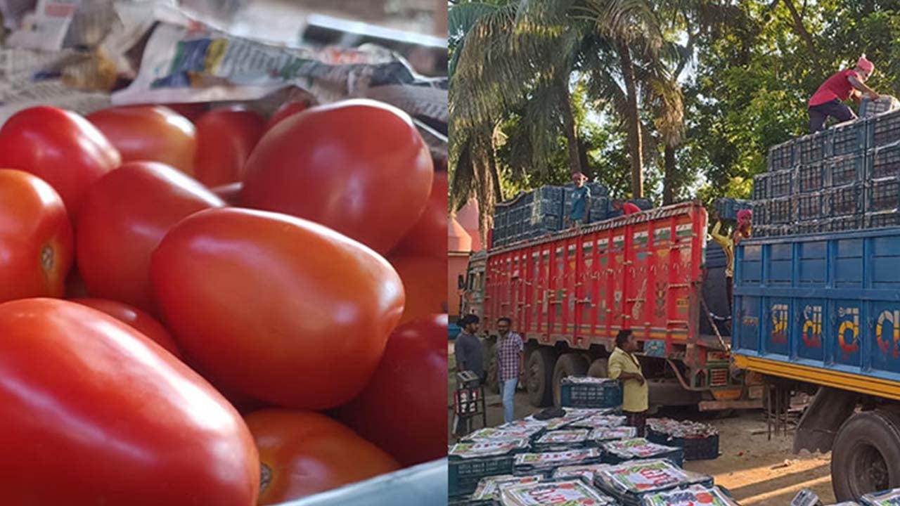 ভারত থেকে তিনবছর পর টমেটো আমদানি শুরু