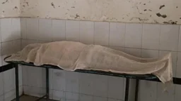 কুকুর বাঁচাতে গিয়ে অটোরিকশা উল্টে নিহত যাত্রী, আহত ২
