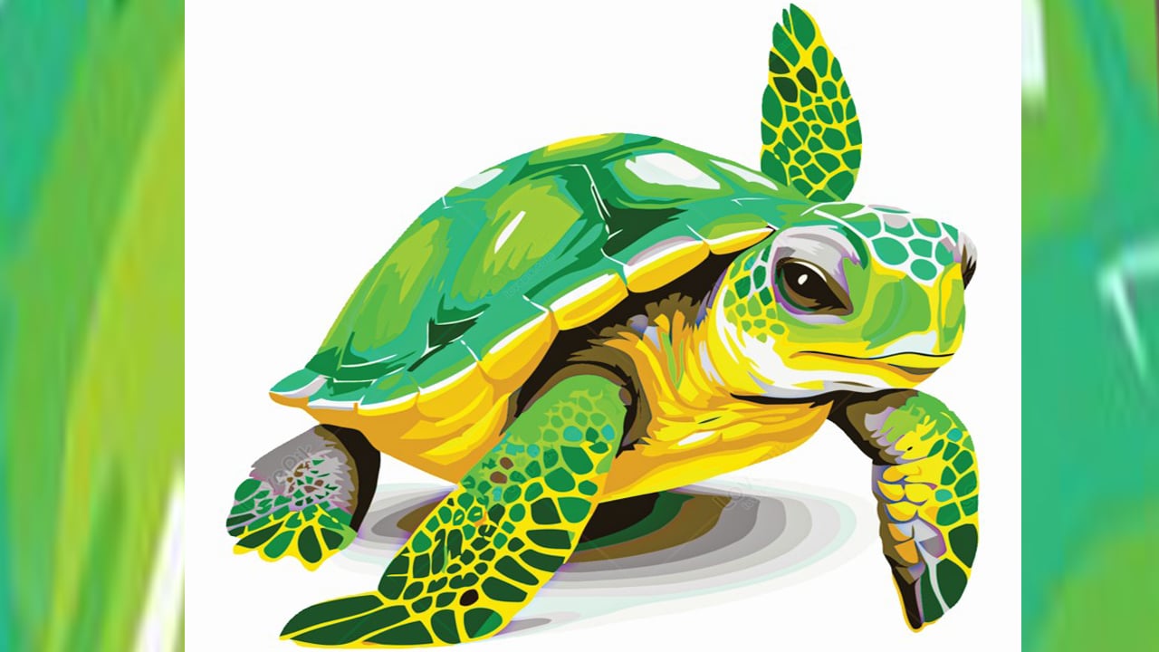 কচ্ছপের দীর্ঘায়ু রহস্য