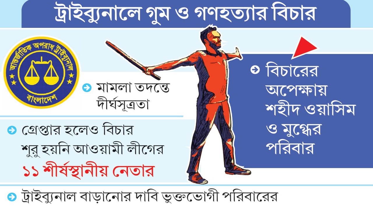 বিচারে ধীরগতি, শহীদ পরিবারে হতাশা