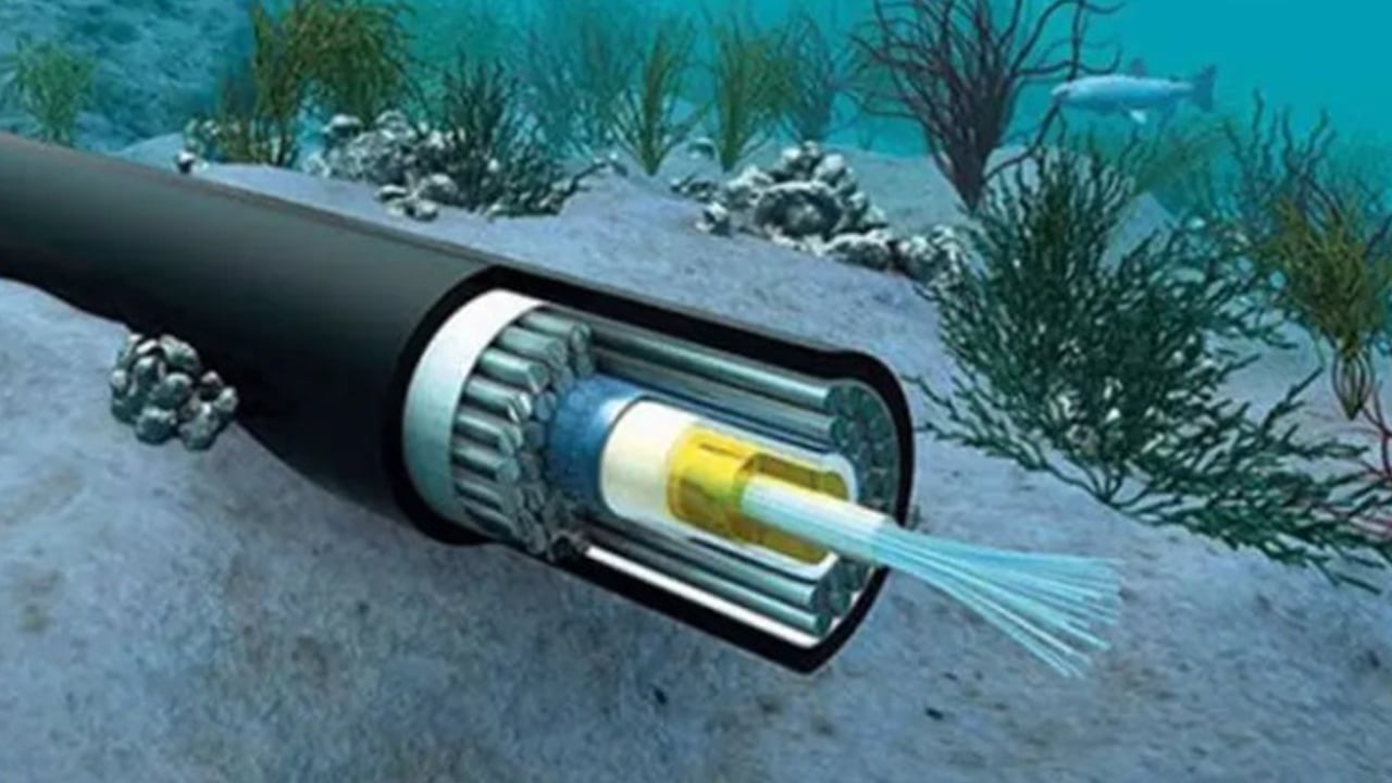 সাবমেরিন ক্যাবল কোম্পানি সামিট-মেটাকোর-সিডিনেটের বৈধতা তদন্তের নির্দেশ