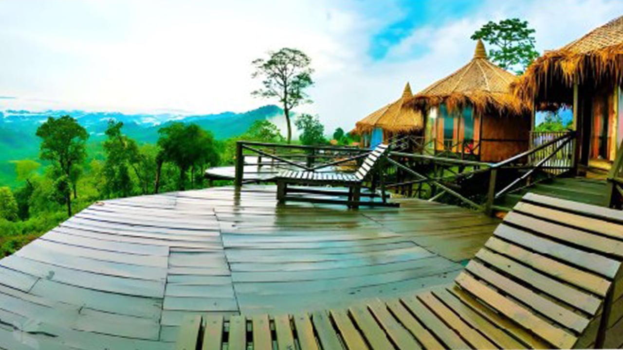 পর্যটন আইন