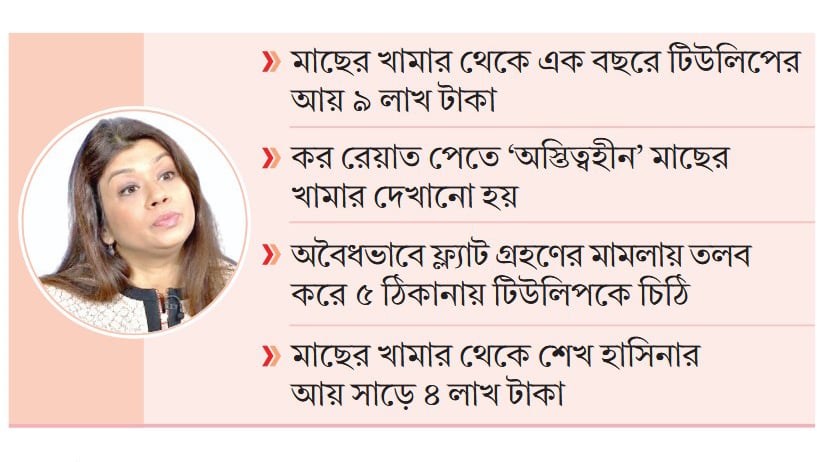 টিউলিপের মাছের খামার নিয়ে কৌতূহল