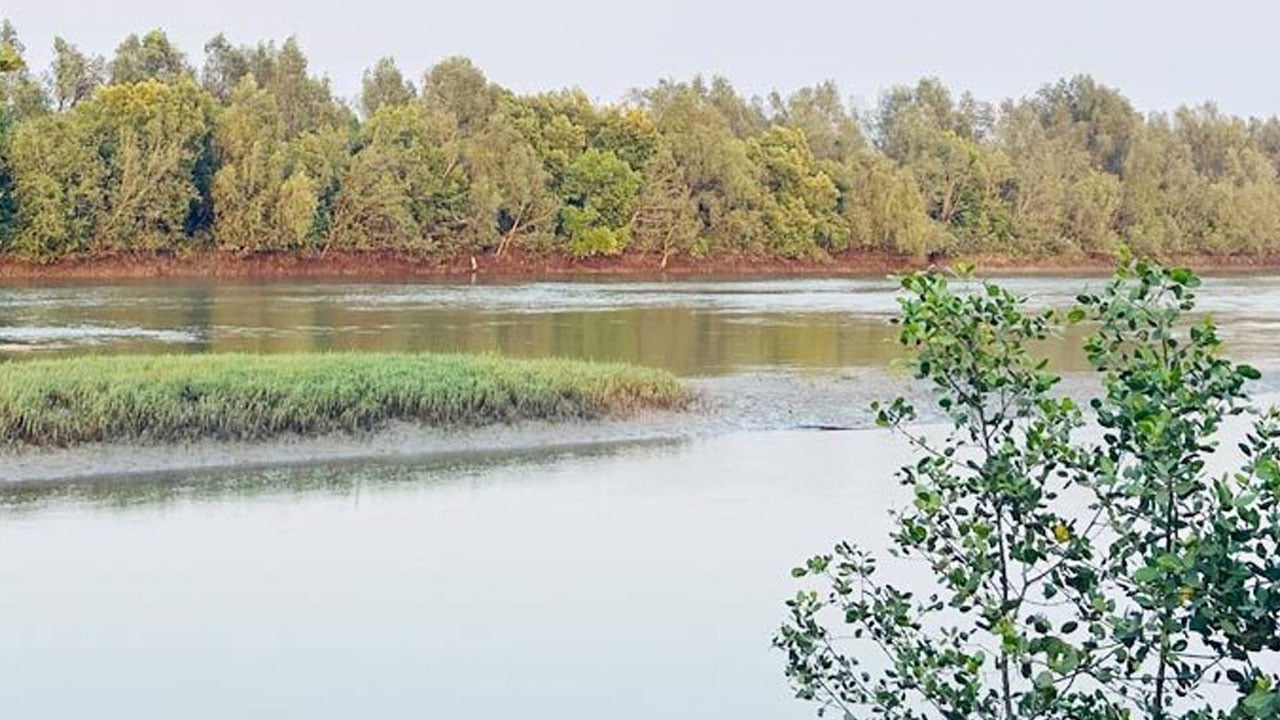 উখিয়া সীমান্তের ওপারে মাইন বিস্ফোরণে পা বিচ্ছিন্ন রোহিঙ্গা যুবকের
