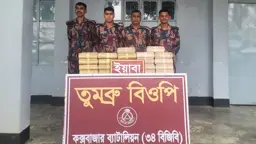 তুমব্রু সীমান্তে তিনটি ব্যাগে মিলল ৪ লাখ বার্মিজ ইয়াবা